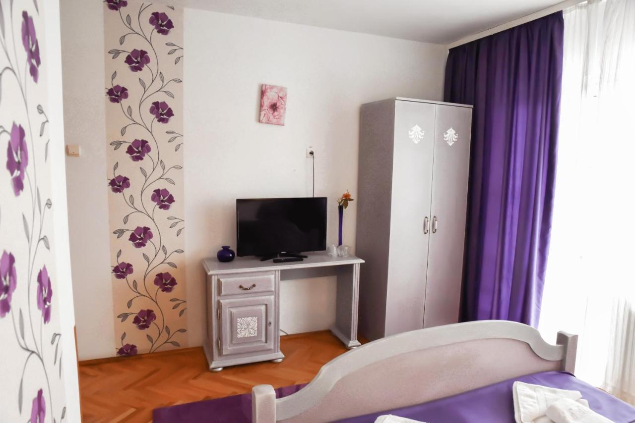 Pensiunea Vila Silva I Haţeg Buitenkant foto
