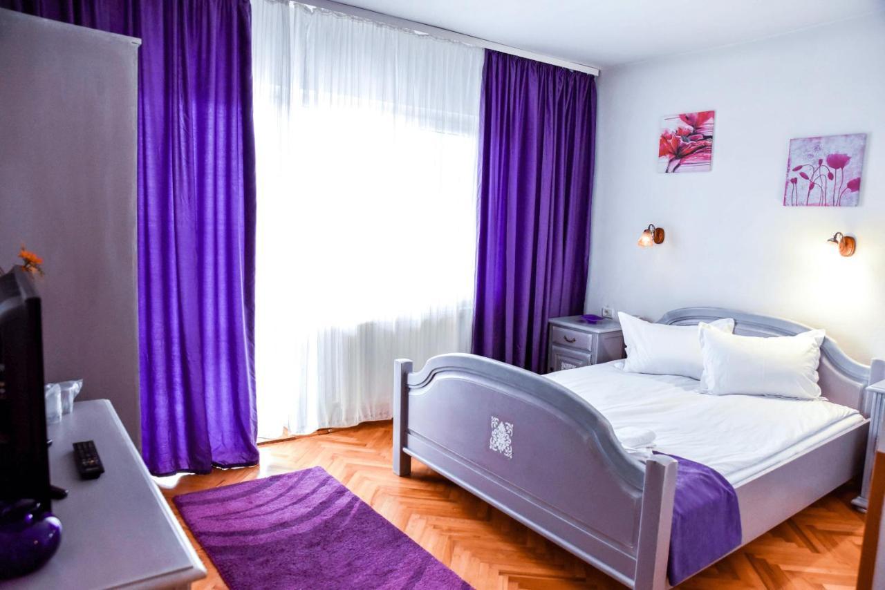 Pensiunea Vila Silva I Haţeg Buitenkant foto
