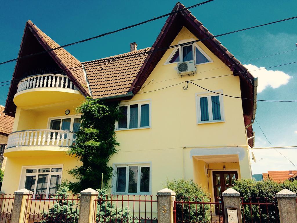 Pensiunea Vila Silva I Haţeg Buitenkant foto