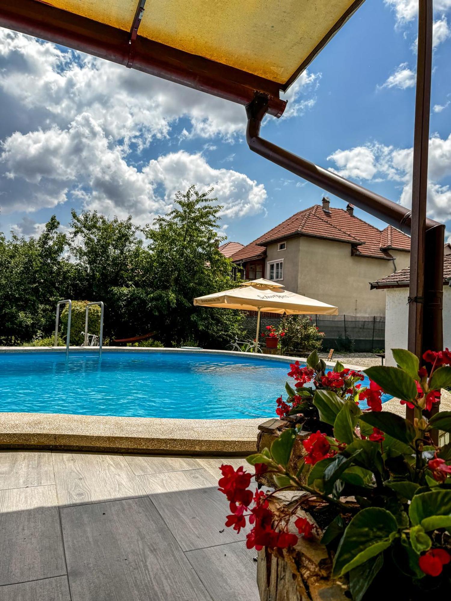 Pensiunea Vila Silva I Haţeg Buitenkant foto