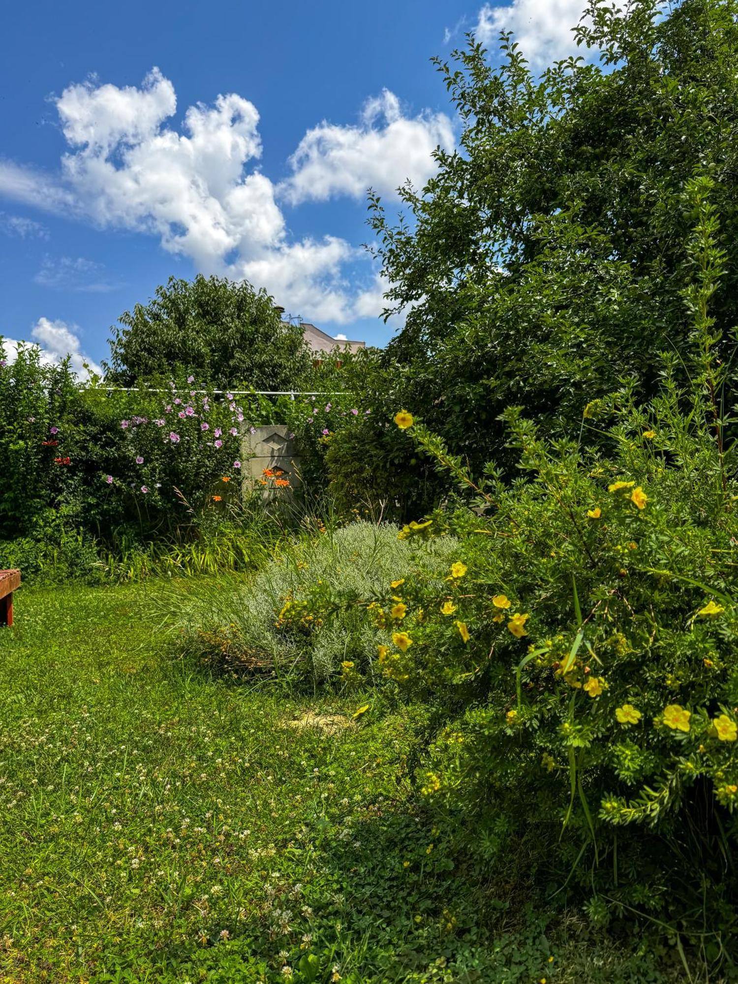 Pensiunea Vila Silva I Haţeg Buitenkant foto